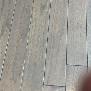 Meet your Posher, Albert